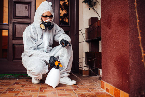 Reliable Ant Control contractor in Marietta, OK by Nex Pest Control