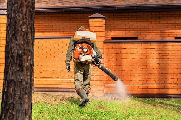 Trusted Emergency Pest Control service in Marietta, OK - Nex Pest Control